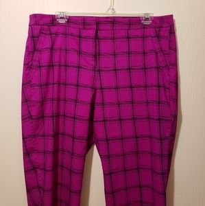 Lane Bryant pants